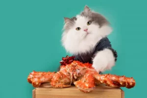 Can cats safely eat imitation crab?