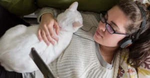 Cat sleeping on chest